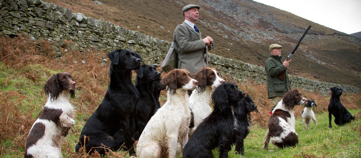 chapel-farm-dog-food-dog-food-for-working-dogs