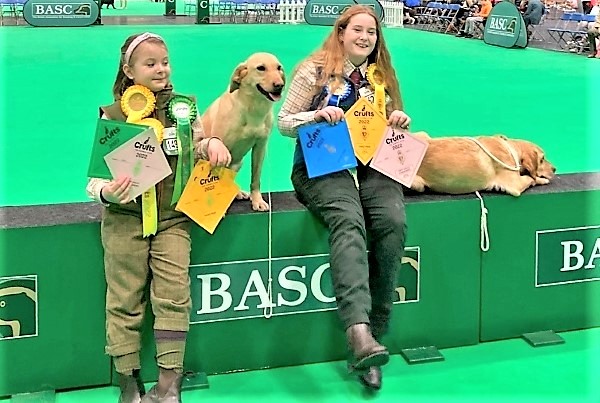 A Fabulous Time at Crufts