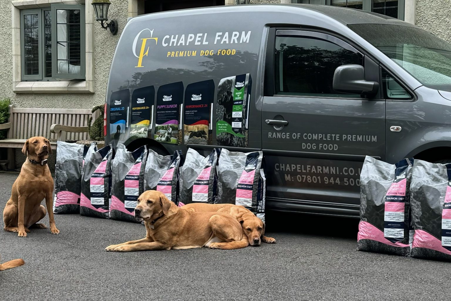 New Grain Free Salmon in Northern Ireland CHAPEL FARM DOG FOOD