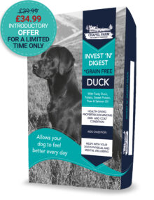Chapel Farm Invest ‘N’ Digest Duck